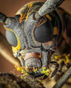 WarframeMarket profile picture for @--MEG--