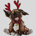 WarframeMarket profile picture for @jeffrey