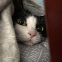 个人档案 - Endym_Solfir | 拍卖