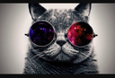 WarframeMarket profile picture for @--SDK--