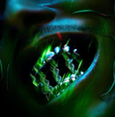 WarframeMarket profile picture for @.thoughts