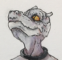 WarframeMarket profile picture for @Notebooks