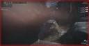 WarframeMarket profile picture for @Janitor4