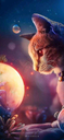 WarframeMarket profile picture for @soso__