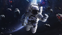 WarframeMarket profile picture for @Habitat_