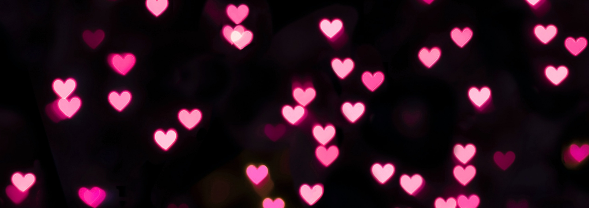 Profile - Zane | Orders